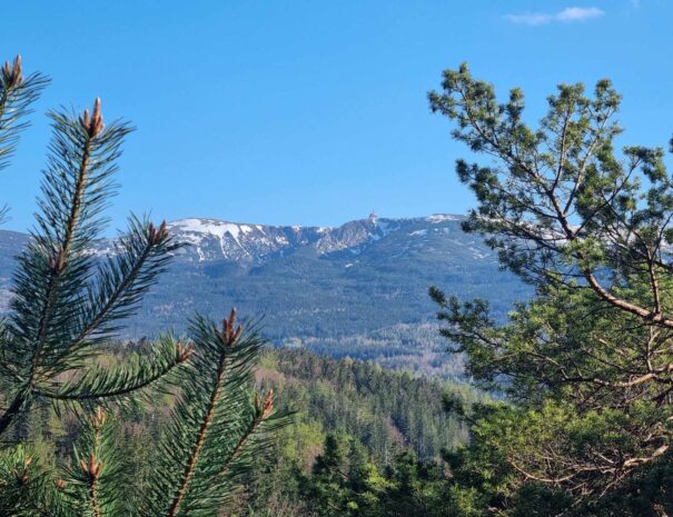 Szklarska Poręba - Apartamenty Wanda Pod Karczmarzem (1)