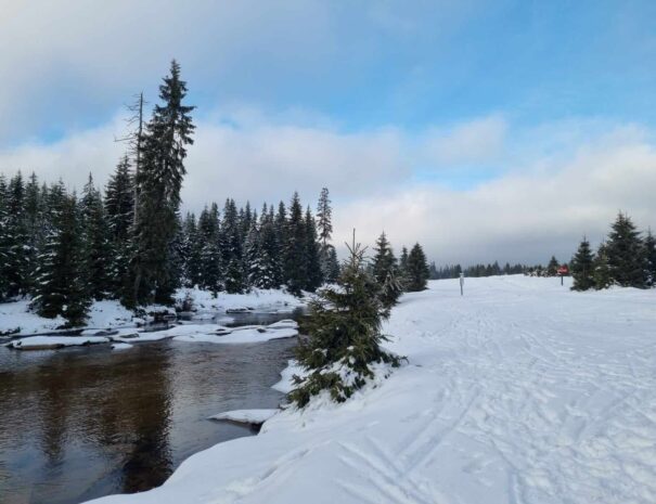 Szklarska Poręba - Apartamenty Wanda Pod Karczmarzem (19)