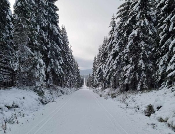 Szklarska Poręba - Apartamenty Wanda Pod Karczmarzem (20)