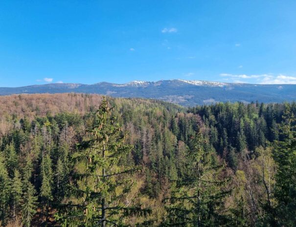 Szklarska Poręba - Apartamenty Wanda Pod Karczmarzem (3)