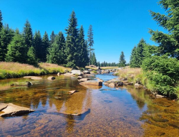 Szklarska Poręba - Apartamenty Wanda Pod Karczmarzem (8)